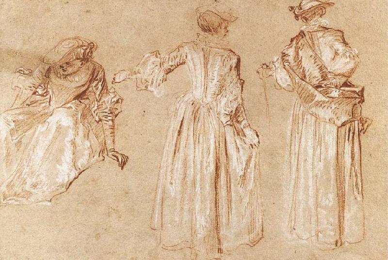 WATTEAU, Antoine Three Studies of a Lady with a Hat oil painting picture